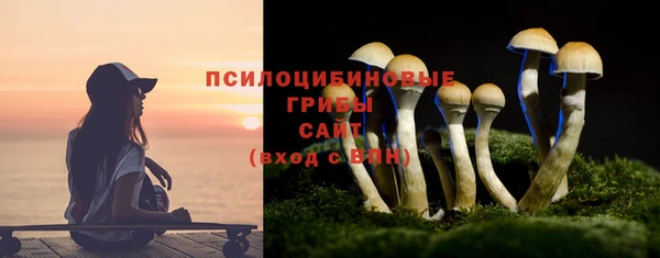 мдпв Куйбышев