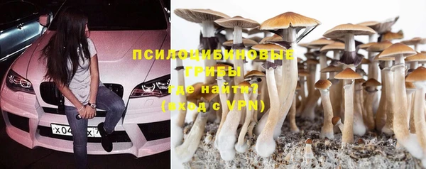 мдпв Куйбышев