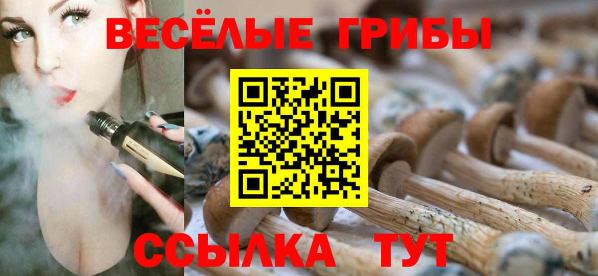 Нижнеудинск  Псилоцибиновые грибы MAGIC MUSHROOMS  Вход с VPN 