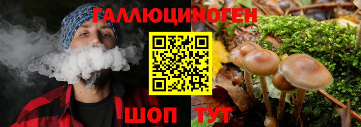 Галлюциногенные грибы мицелий Нижнеудинск